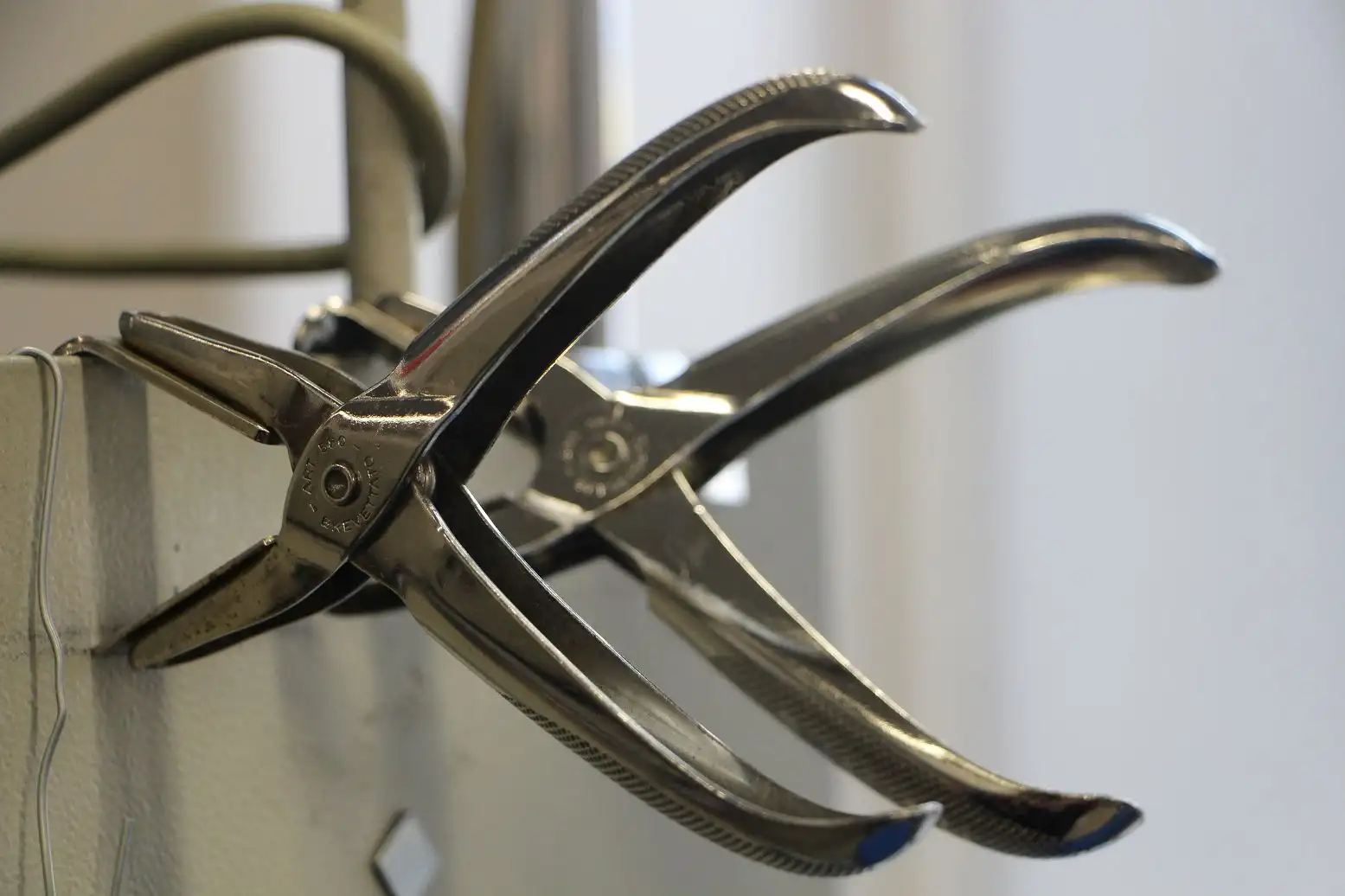 Putzerei Diana – Ihre professionelle Teppichreinigung